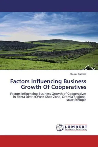 Shumi bulessa factors - shumi,
