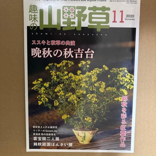 Shumi yanyaso magazin nov - magazin,