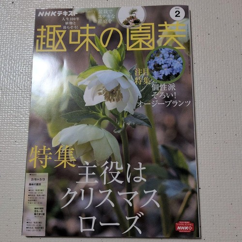 Shumi engei gartenmagazin - no,